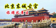 大鸡吧操哭视频中国北京-东城古宫旅游风景区